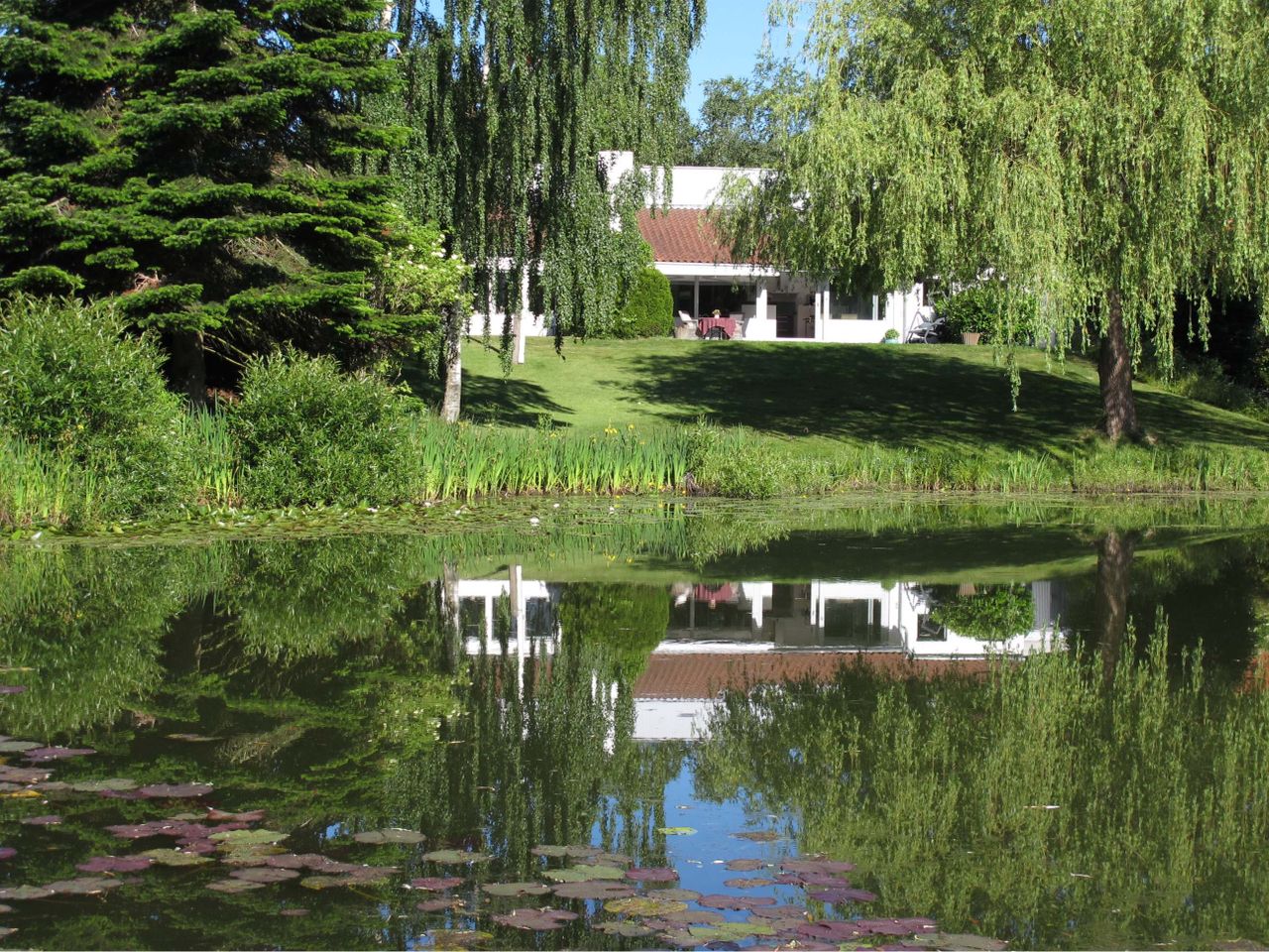 image 01